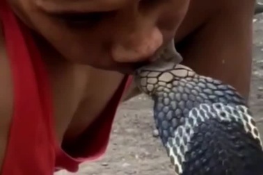 Jagad Muda đăng video đùa giỡn cùng rắn hổ chúa trên trang Facebook cá nhân