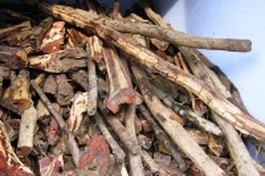 Bắt hơn 5 tấn gỗ trắc được ngụy trang trên xe chở dưa hấu