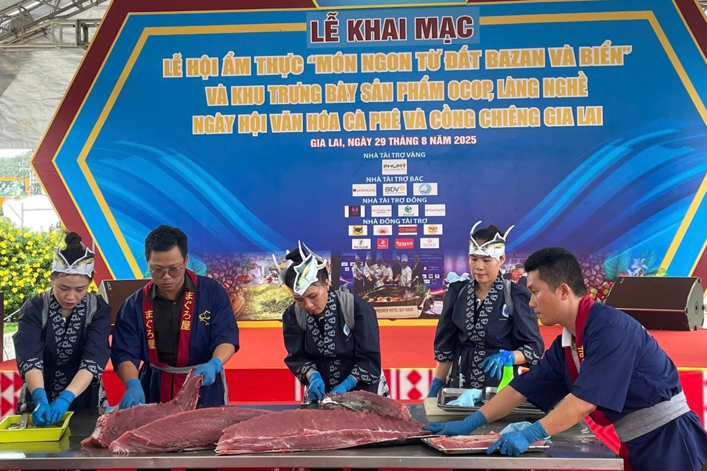 Bản hòa ca từ đại ngàn đến biển xanh giúp du lịch Gia Lai bứt phá - 2 Bản hòa ca từ đại ngàn đến biển xanh giúp du lịch Gia Lai bứt phá - 2