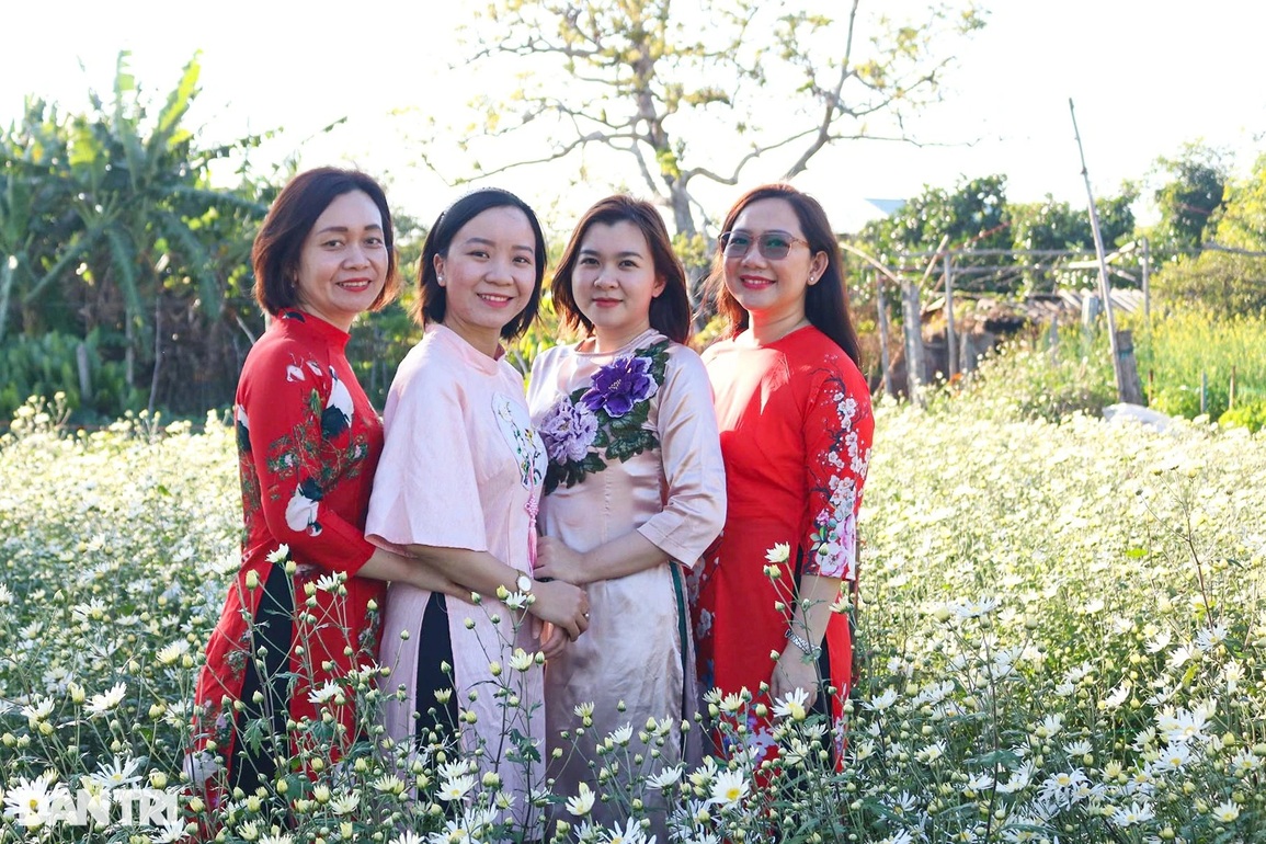 Đầu xuân, hoa tam giác mạch, cúc họa mi khoe sắc giữa lòng phố núi - 12 Đầu xuân, hoa tam giác mạch, cúc họa mi khoe sắc giữa lòng phố núi - 12