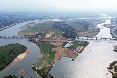 Đất đảo Ngọc ở Quảng Ngãi được tách thửa ồ ạt, chủ tịch tỉnh cũng bất ngờ