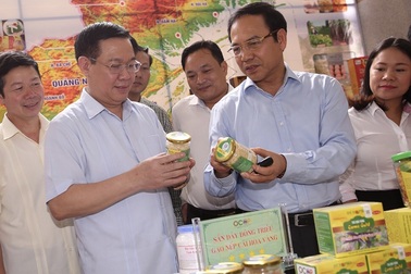 Xếp hạng, gắn sao cho nông sản Việt: Cơ hội vươn ra thị trường quốc tế