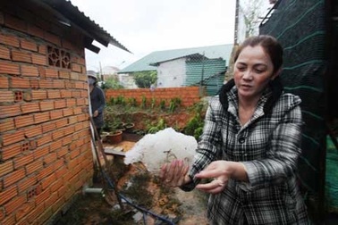 Mưa đá khủng khiếp tại Đà Lạt