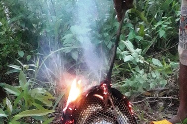 Hai anh em bị ong đốt, 1 người tử vong