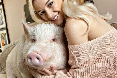 Chung sống cùng lợn 80 kg, yêu thương như con người