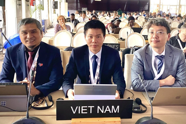 Việt Nam trúng cử Phó Chủ tịch một ủy ban then chốt của UNESCO