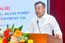 "Doanh nghiệp không còn khả năng hấp thụ, đưa nhân sâm vào cũng chết"