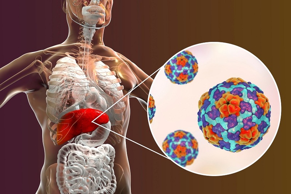Ăn uống mất vệ sinh có thế khiến bạn đối mặt với loại virus nguy hiểm này - 1 Ăn uống mất vệ sinh có thế khiến bạn đối mặt với loại virus nguy hiểm này - 1