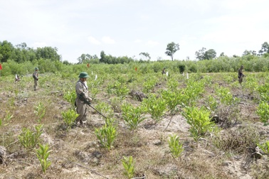 Gần 20% diện tích Việt Nam tồn sót cả triệu tấn bom mìn