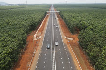 Lái xe trên cao tốc Vĩnh Hảo - Phan Thiết - Dầu Giây: Vừa chạy vừa run