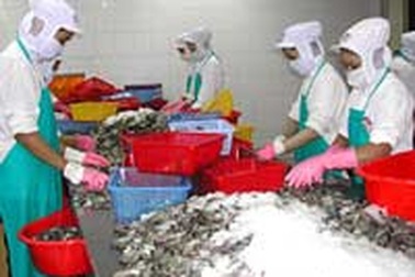 Tăng tốc xuất khẩu thủy sản cuối năm