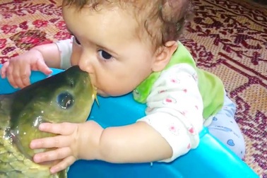 Góc thư giãn: Lần đầu bé gặp cá