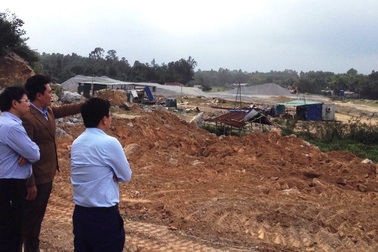 Xác minh việc cây cối chết quanh Khu liên hợp gang thép Hòa Phát