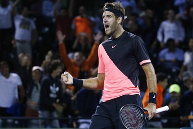 Miami Open: Hạ Raonic, Del Potro vào bán kết gặp Isner