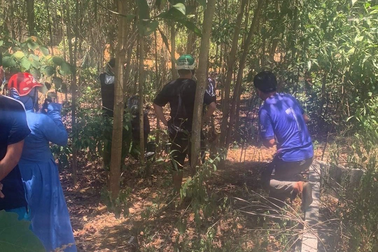 Phát hiện thi thể người đàn ông trong vườn tràm