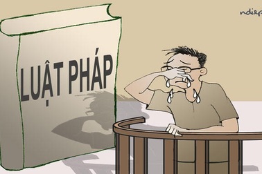 Ngây ngô như bị cáo Trịnh Xuân Thanh?