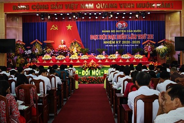 Huyện Cần Đước phấn đấu trở thành huyện nông thôn mới