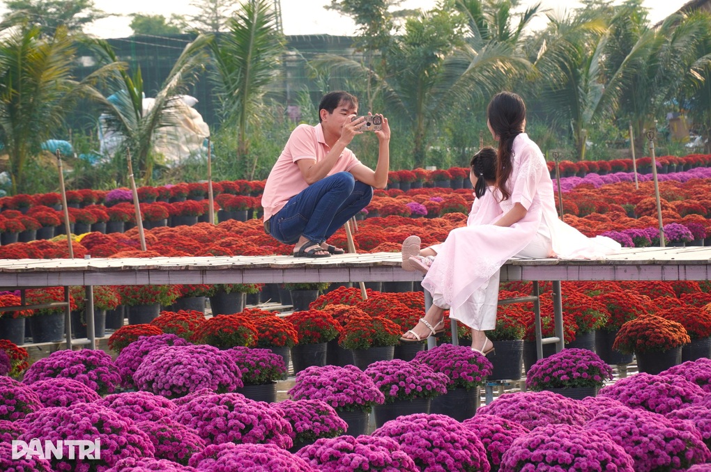 Bán vé ngắm hoa của người khác, anh nông dân thu chục triệu mỗi ngày - 3 Bán vé ngắm hoa của người khác, anh nông dân thu chục triệu mỗi ngày - 3