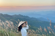 Cảnh hoàng hôn lãng mạn ở cánh đồng cỏ lau bạt ngàn tại Bình Liêu