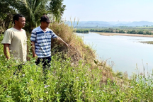 Gia Lai công bố tình huống khẩn cấp về sạt lở bờ sông, suối