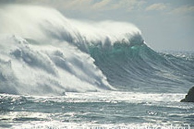 Nghiêm cấm tàu thuyền ra khơi