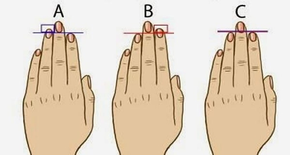Bàn tay tiết lộ gì về tính cách của bạn? - 2 Bàn tay tiết lộ gì về tính cách của bạn? - 2