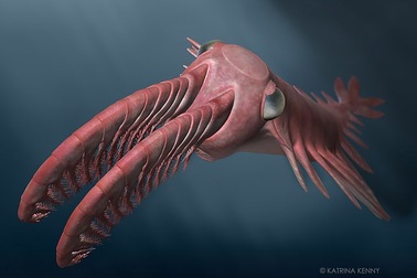 Quái vật kỳ dị cổ đại, vòi như đuôi tôm và đôi mắt "nhìn thấu đại dương"