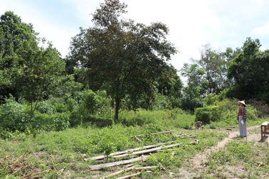 Đơn vị thuế nói gì về thông báo nộp gần 4,5 tỷ đồng chuyển đổi 300m2 đất?