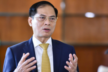 "Tiếp tục biện pháp ngoại giao để tác động tới các cơ quan của Mỹ"