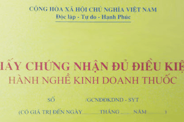 Tiến tới triển khai chính thức công cụ xây dựng hệ thống dữ liệu quốc gia ngành Dược