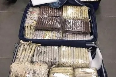 Tạm giữ 3.000 điếu xì gà từ Cu Ba nhập về Đà Nẵng