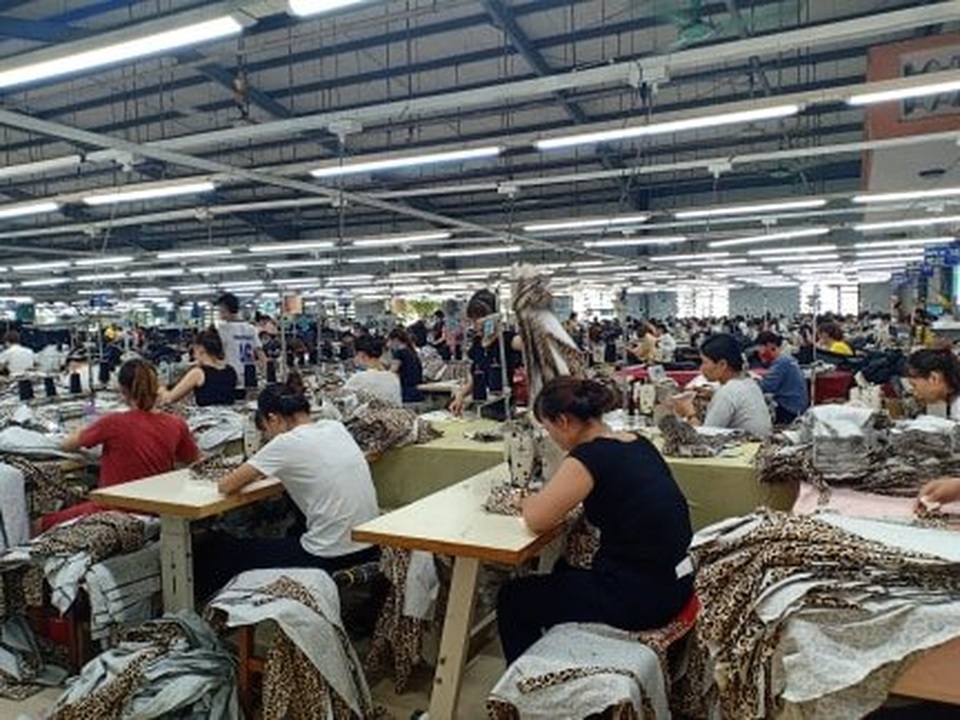 Thanh Hóa: Khó xác định nhóm lao động tự do trong gói hỗ trợ 62.000 tỷ đồng - 1 Thanh Hóa: Khó xác định nhóm lao động tự do trong gói hỗ trợ 62.000 tỷ đồng - 1