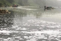 Công an vào cuộc, điều tra nguyên nhân cá chết hàng loạt trên sông Chu