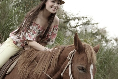 Năm Ngọ mạn đàm chuyện ngựa