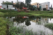 Quảng Ngãi: Dự án trường đại học “treo”, 26.000 m2 đất thành... bãi sình lầy