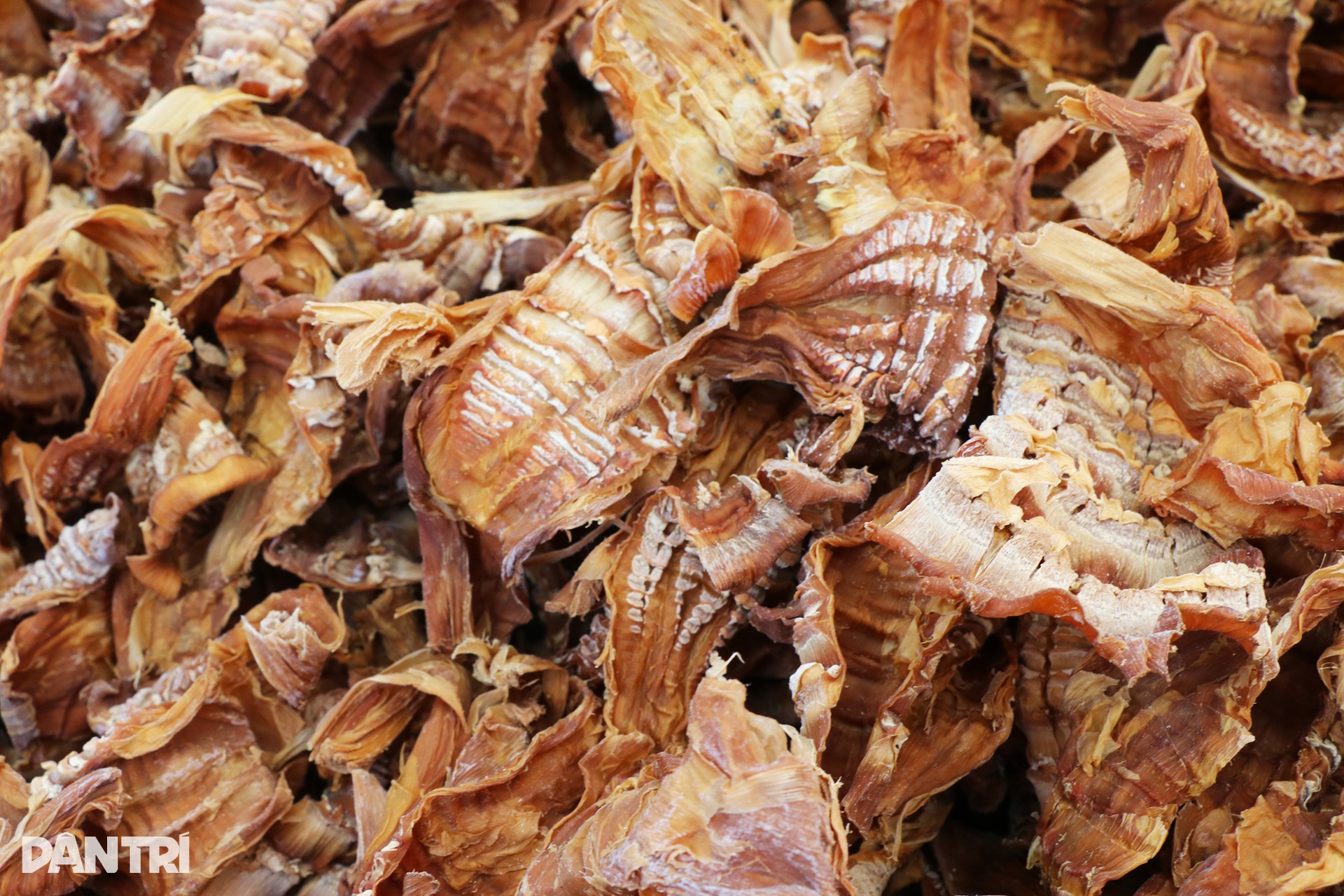 Sản vật núi rừng xuống phố trong ngày hội cấp tỉnh lần đầu tổ chức - 3 Sản vật núi rừng xuống phố trong ngày hội cấp tỉnh lần đầu tổ chức - 3