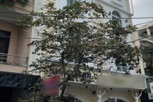 Hai người đàn ông đột tử trong khách sạn