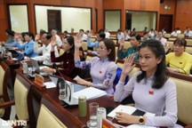 Số lượng đại biểu Hội đồng nhân dân cấp tỉnh, xã áp dụng từ 1/3