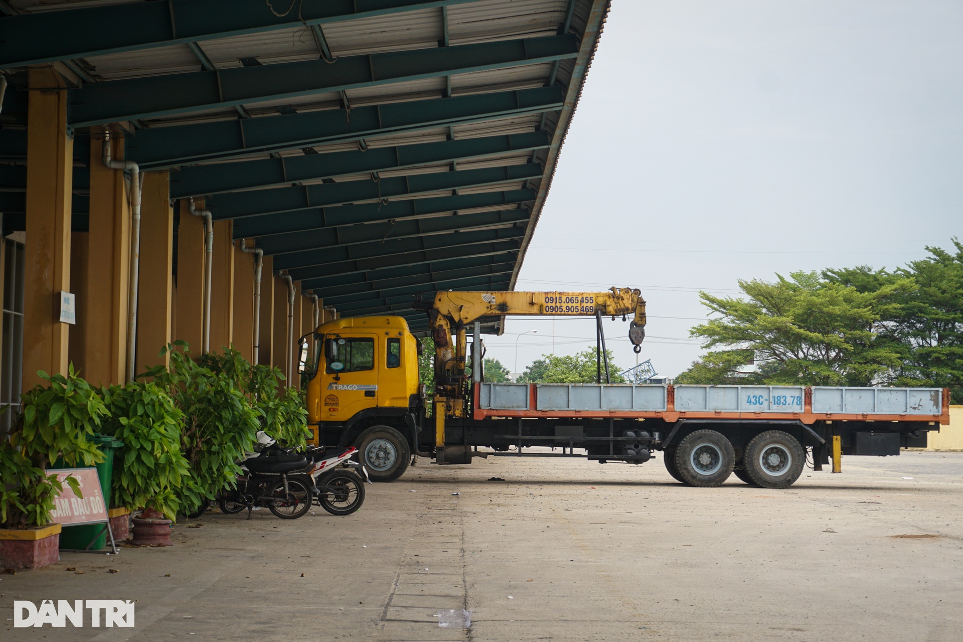 Bụi phủ kín, cỏ vây tứ phía ở bến xe kỳ lạ của Đà Nẵng - 8 Bụi phủ kín, cỏ vây tứ phía ở bến xe kỳ lạ của Đà Nẵng - 8