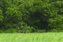 Đạn pháo trăm phát, trăm trúng của Nga: Vũ khí khắc chế xe tăng phương Tây?