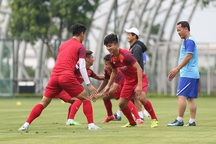 Tiền vệ Việt kiều Martin Lo quyết ghi điểm với HLV Park Hang Seo