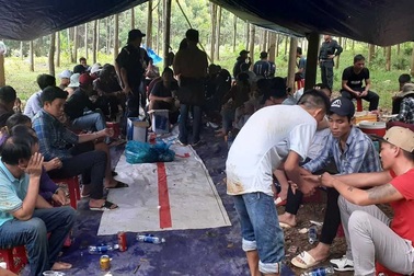 Khởi tố 12 đối tượng đánh bạc trong rừng cao su