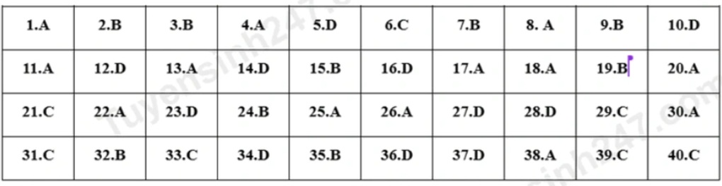 Đề thi và đáp án môn tiếng Anh vào lớp 10 tỉnh Tuyên Quang năm 2025 - 4 Đề thi và đáp án môn tiếng Anh vào lớp 10 tỉnh Tuyên Quang năm 2025 - 4