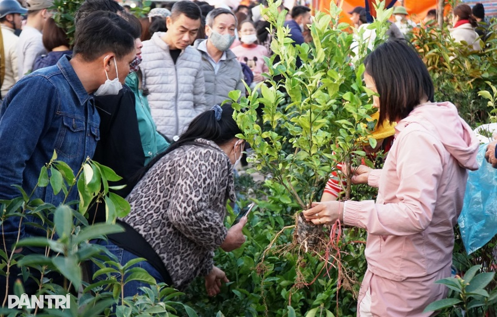 Nườm nượp người đi chợ mua may bán rủi - 6 Nườm nượp người đi chợ mua may bán rủi - 6