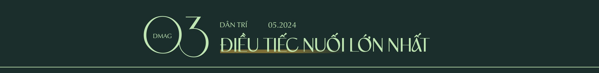 TS Nguyễn Đình Cung: Vị chuyên gia bạo ngôn và điều tiếc nuối lớn nhất - 16 TS Nguyễn Đình Cung: Vị chuyên gia bạo ngôn và điều tiếc nuối lớn nhất - 16