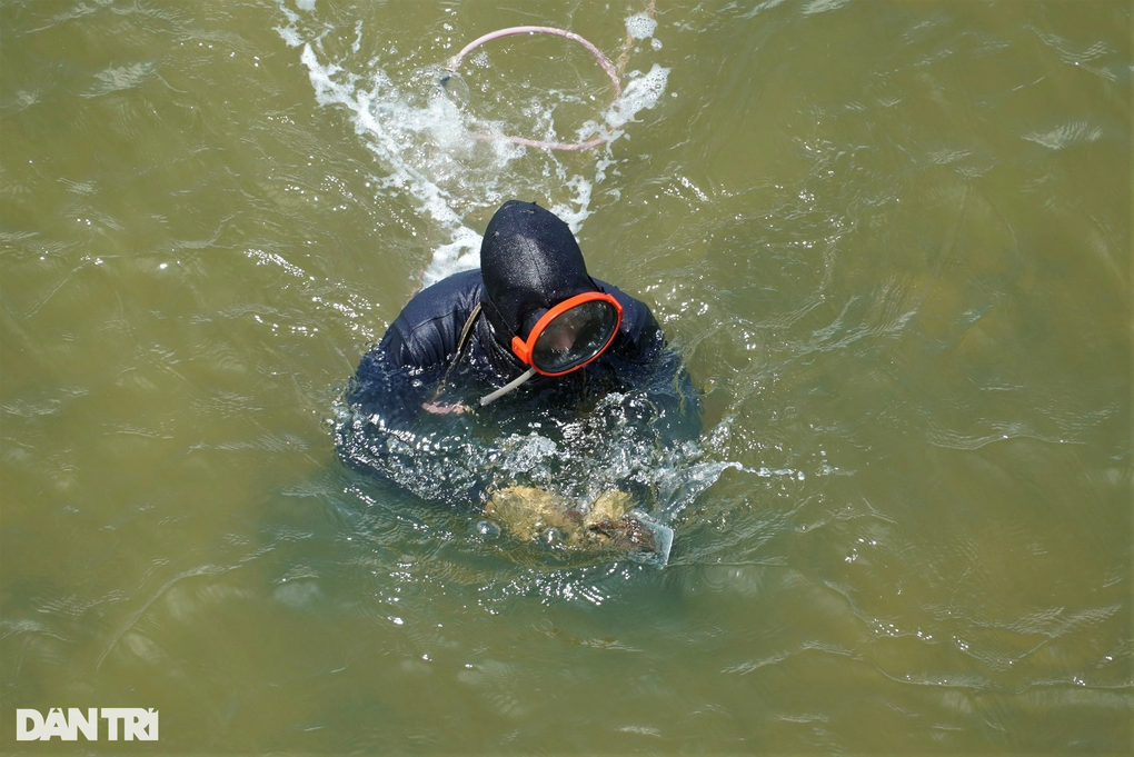 Săn thức ăn cho tôm hùm, kiếm tiền triệu mỗi ngày - 7 Săn thức ăn cho tôm hùm, kiếm tiền triệu mỗi ngày - 7