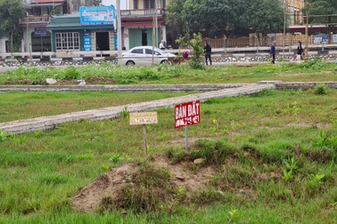 Loạn "thổi giá" thông qua đấu giá đất, đề xuất siết đối tượng tham gia