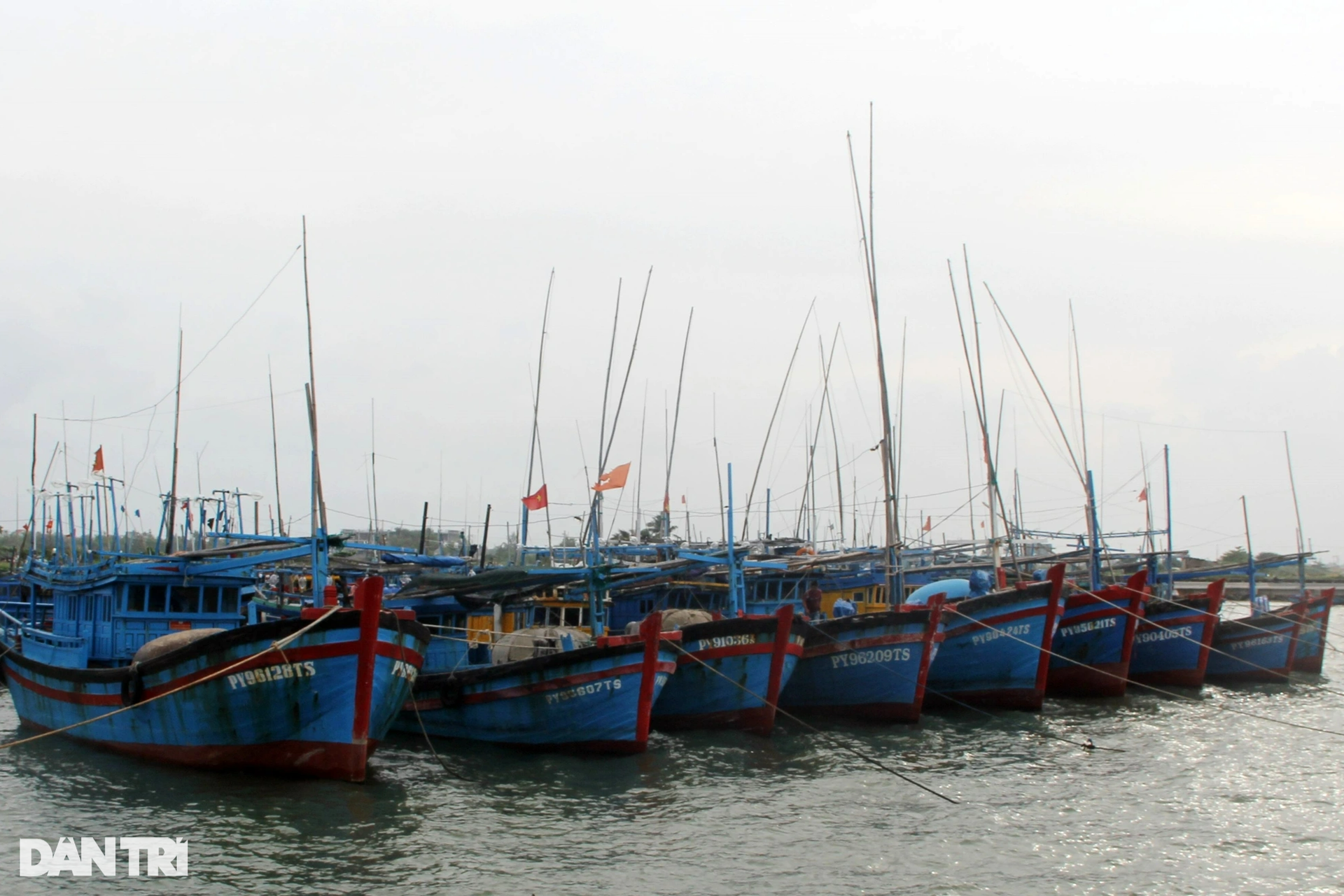 Phụ nữ, người già làng biển hối hả cõng tài sản tránh bão Noru - 14 Phụ nữ, người già làng biển hối hả cõng tài sản tránh bão Noru - 14