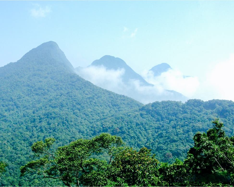 Doanh nghiệp thuê 35,7ha Vườn quốc gia Tam Đảo làm du lịch sinh thái - 3