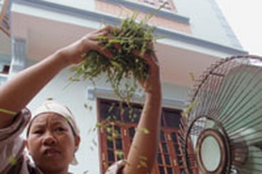 Ký ức cốm Vòng